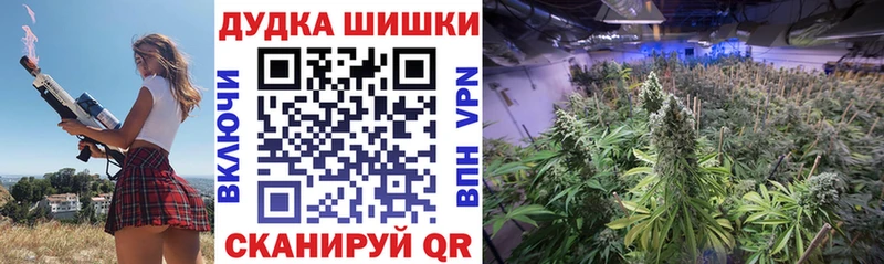 Купить где  Бутурлиновка  МАРИХУАНА планчик 